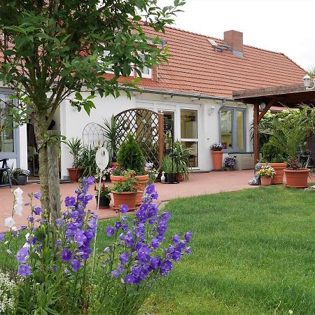 Pretty Apartment In Am Salzhaff With Fireplace Rakow المظهر الخارجي الصورة