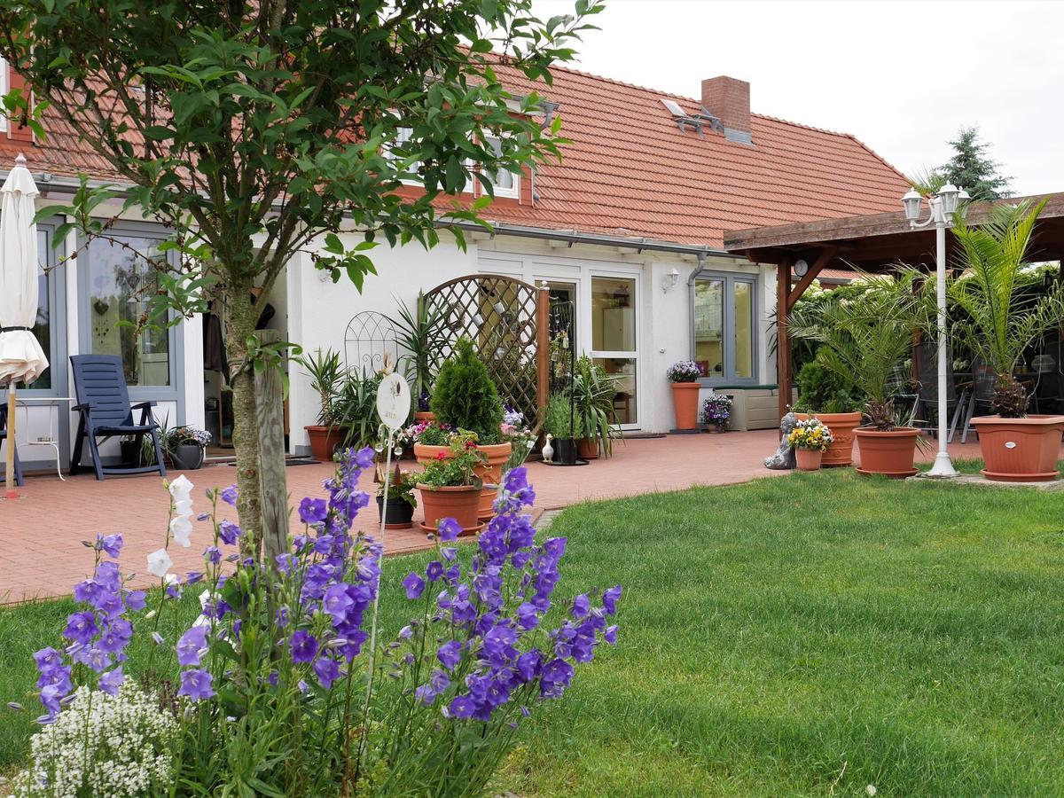 Pretty Apartment In Am Salzhaff With Fireplace Rakow المظهر الخارجي الصورة